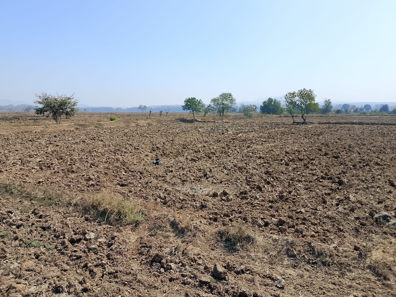 Plot For Sale in Bunglow Plot 