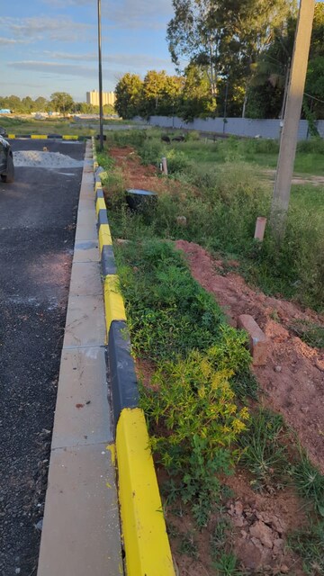  Plot – Garden View at Chikkathoguru - for Sale