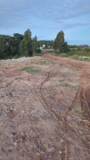 Plot Area in  Plot at Chikkathoguru – for Sale