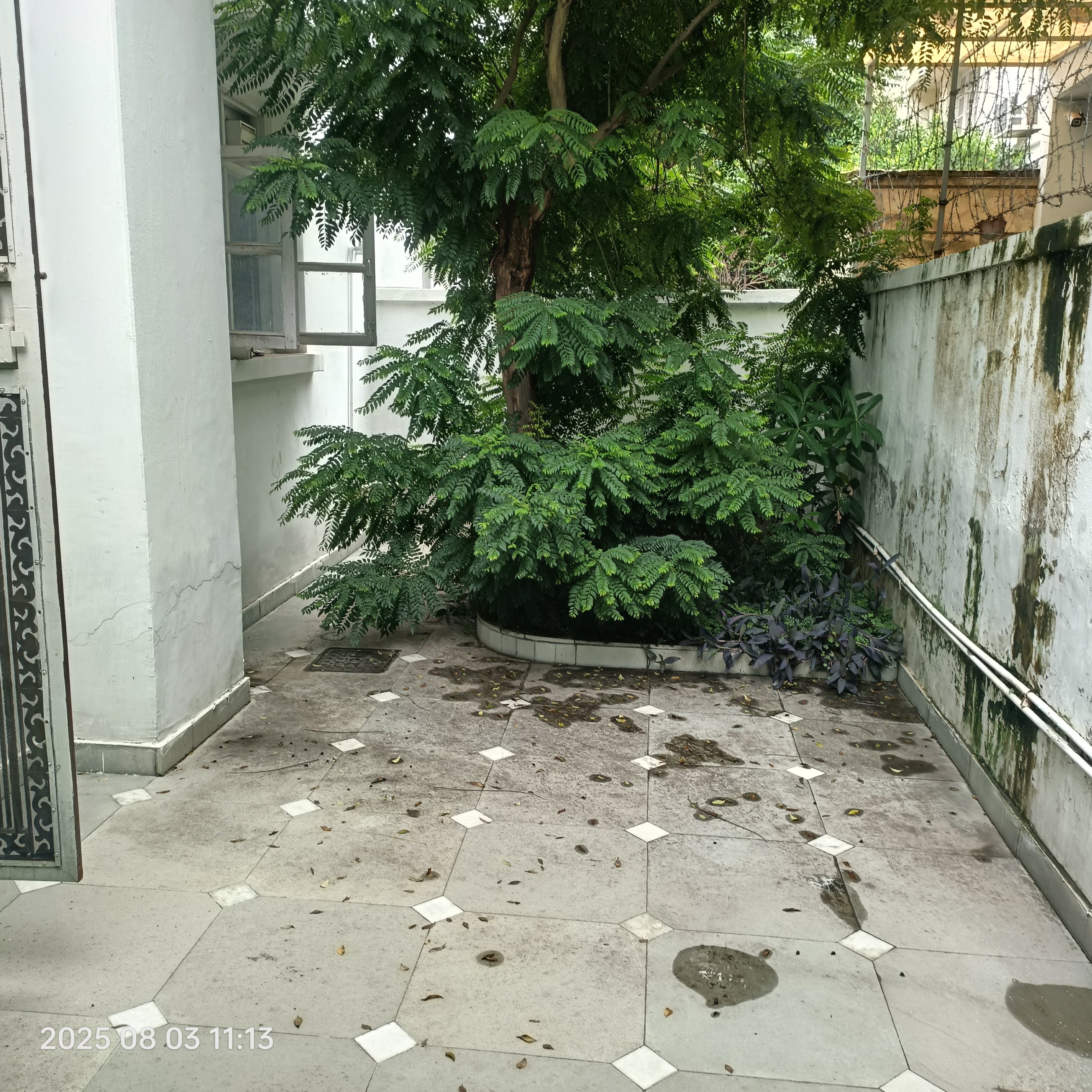 3 BHK + Pooja Room Villa For Rent in Eros Rosewood Villas