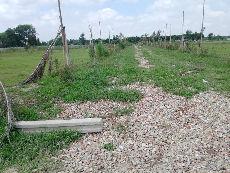 undefined, sector 142  90 Sq.Yd. Plot In Sector 142 Noida 9027448