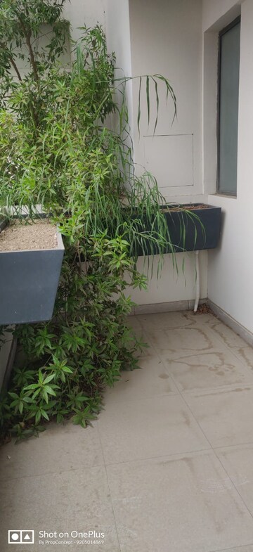 Balcony in 5 BHK Apartment at ABA County 107, Sector 107 – for Rent