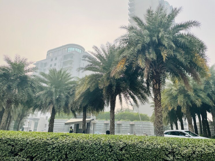 Garden, dlf-ultima-phase-ii 3 Bedroom 2103 Sq.Ft. Apartment In Sector 81 Gurgaon 9027790