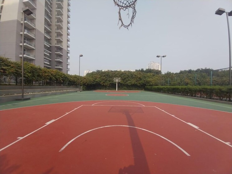 Swimming Pool, dlf-ultima-phase-ii 3 Bedroom 2103 Sq.Ft. Apartment In Sector 81 Gurgaon 9027790