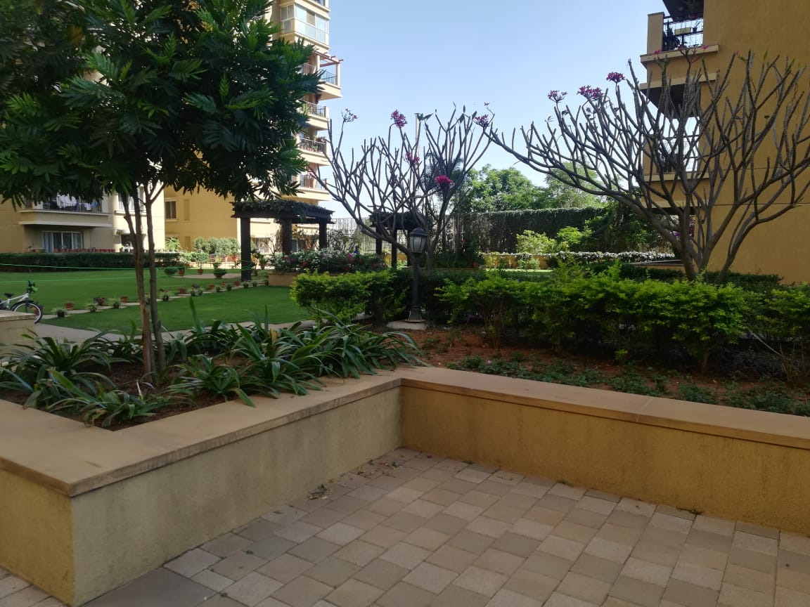 3 BHK Apartment For Sale in Sobha Athena