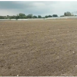 Plot Area in  Land at Shankarpalli – for Sale