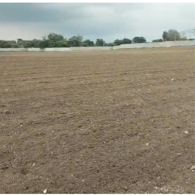 undefined, shankarpalli Commercial Land 30 Acre In Shankarpalli Hyderabad 9027969