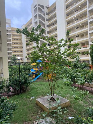  Plot For Sale in Sector 44