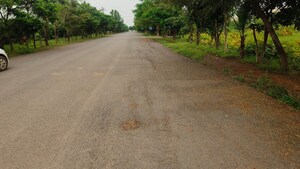  Plot For Sale in Patan Kumhari Road