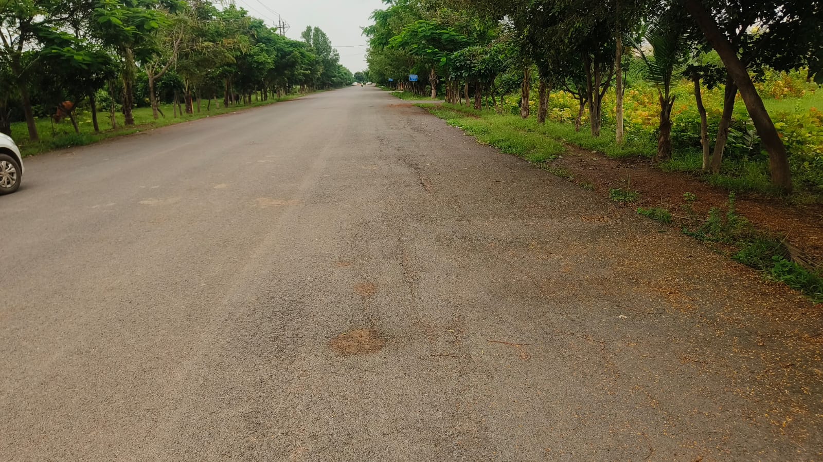 Plot For Sale in Ralas Royal Park 