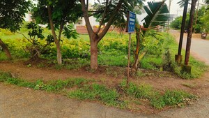  Plot – Garden View at Patan Kumhari Road - for Sale