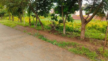  Plot – Garden View at Patan Kumhari Road - for Sale