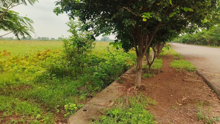 undefined, patan kumhari road  1937 Sq.Ft. Plot In Patan Kumhari Road Raipur 9028239