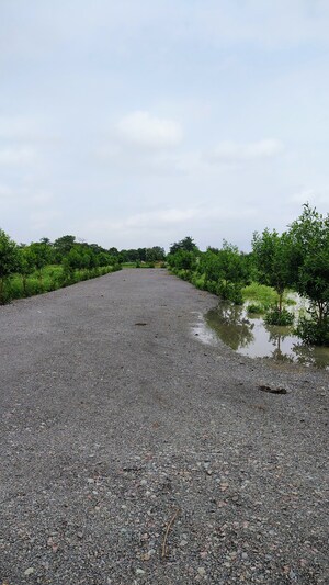 Plot Area in  Plot at Dhamtari Road – for Sale