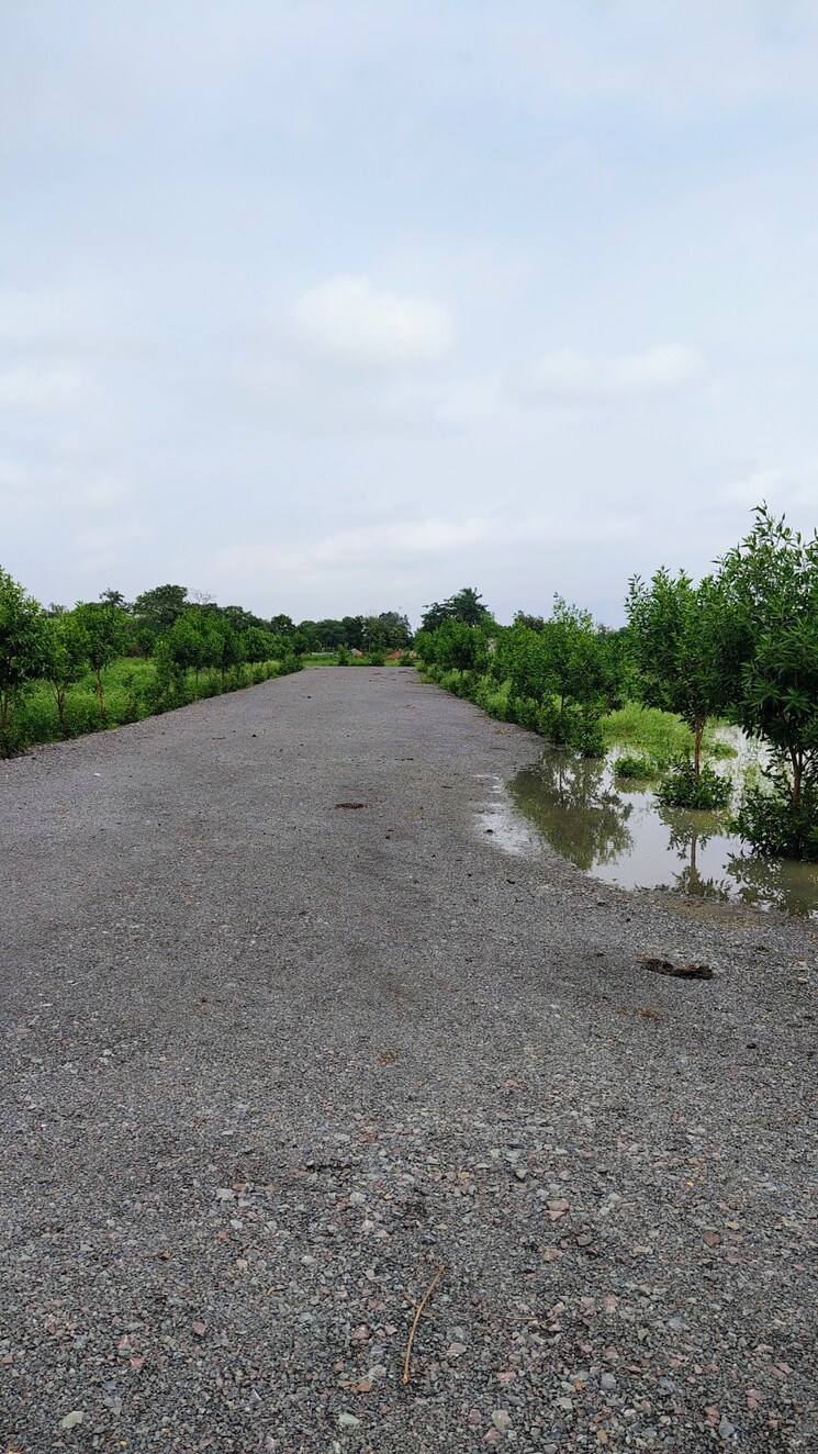 undefined, dhamtari road  9570 Sq.Ft. Plot In Dhamtari Road Raipur 9028243