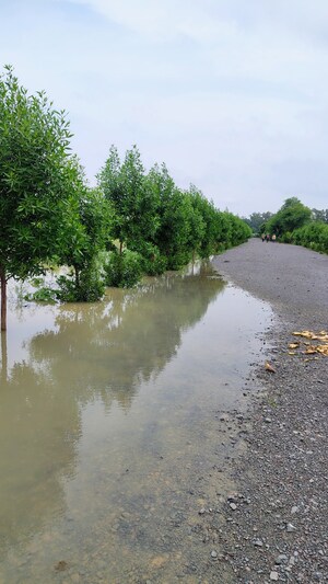  Plot – Exterior View View at Dhamtari Road - for Sale