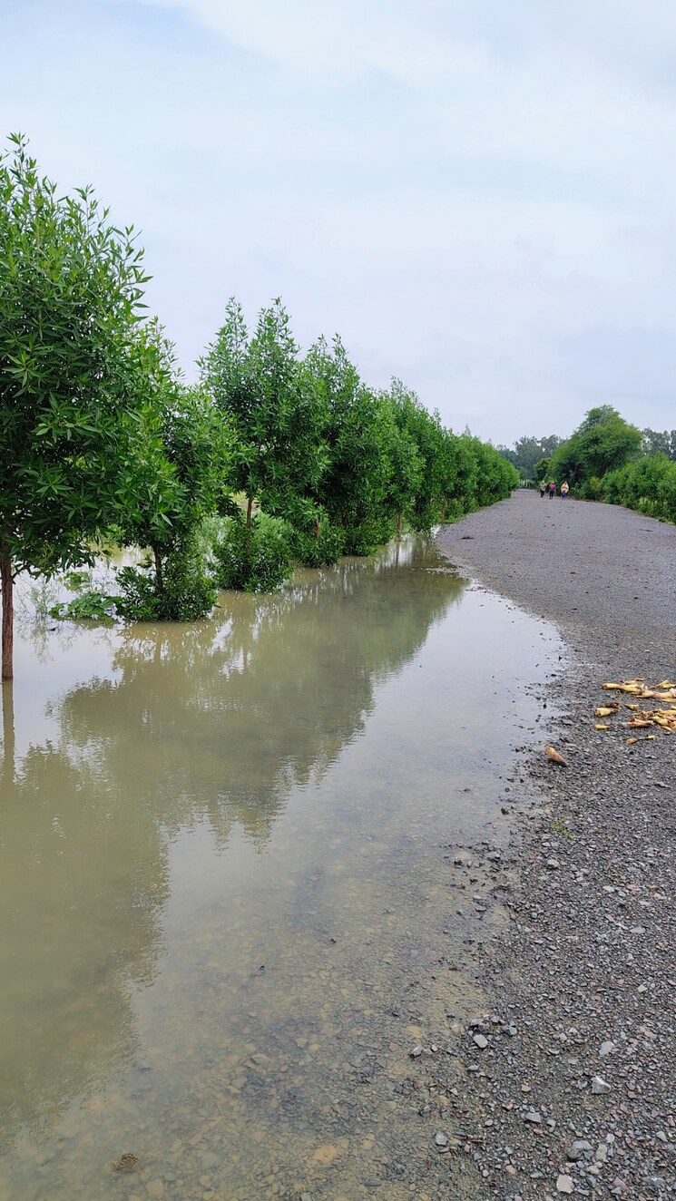 Exterior View, dhamtari road  9570 Sq.Ft. Plot In Dhamtari Road Raipur 9028243