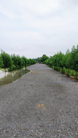 Plot Area in  Plot at Dhamtari Road – for Sale