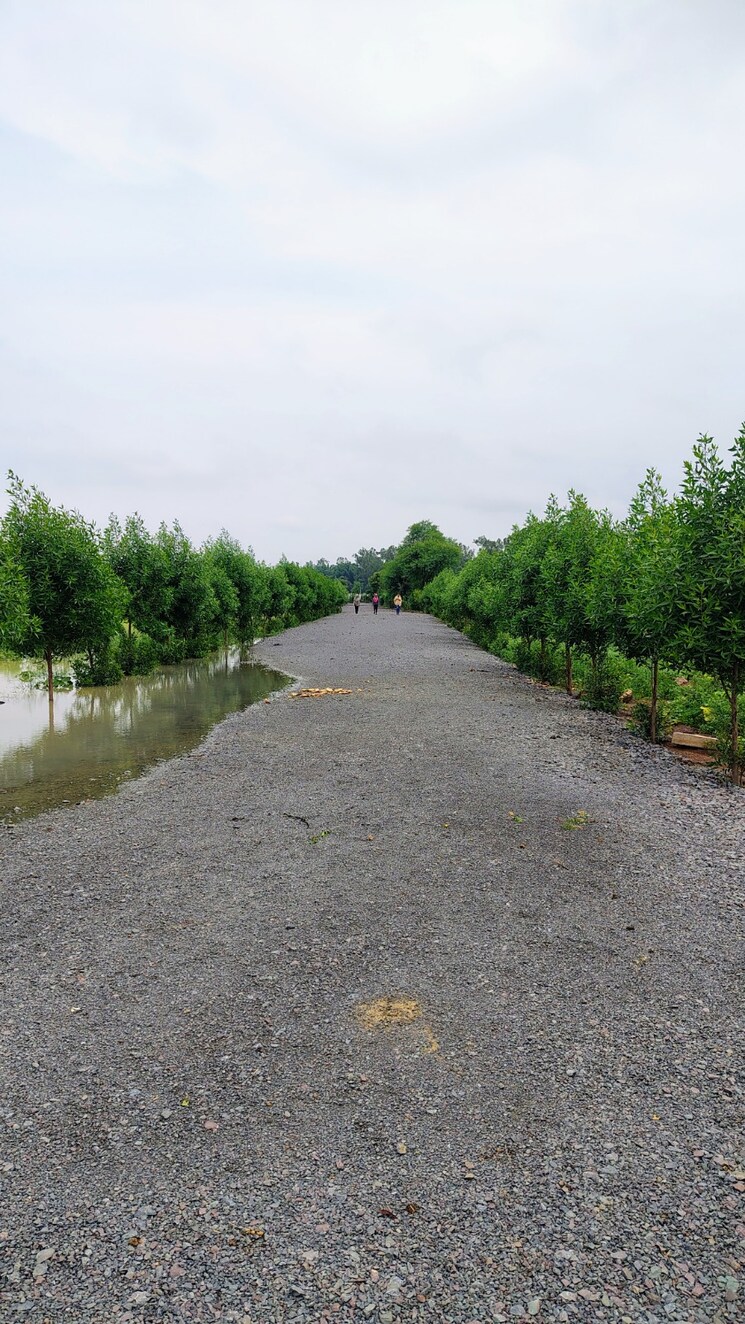 undefined, dhamtari road  9570 Sq.Ft. Plot In Dhamtari Road Raipur 9028243