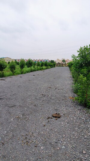  Plot For Sale in Dhamtari Road