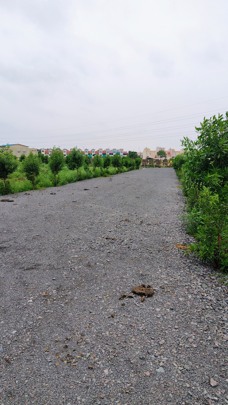 Plot For Sale in Farm Land Plat