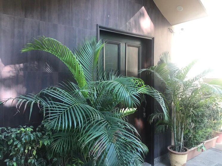 Garden, greater kailash ii 1 Bedroom 1200 Sq.Ft. Builder Floor In Greater Kailash ii Delhi 9028262