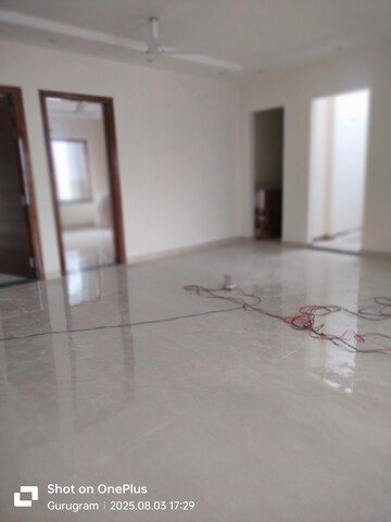 3 BHK Builder Floor For Rent in Sector 14