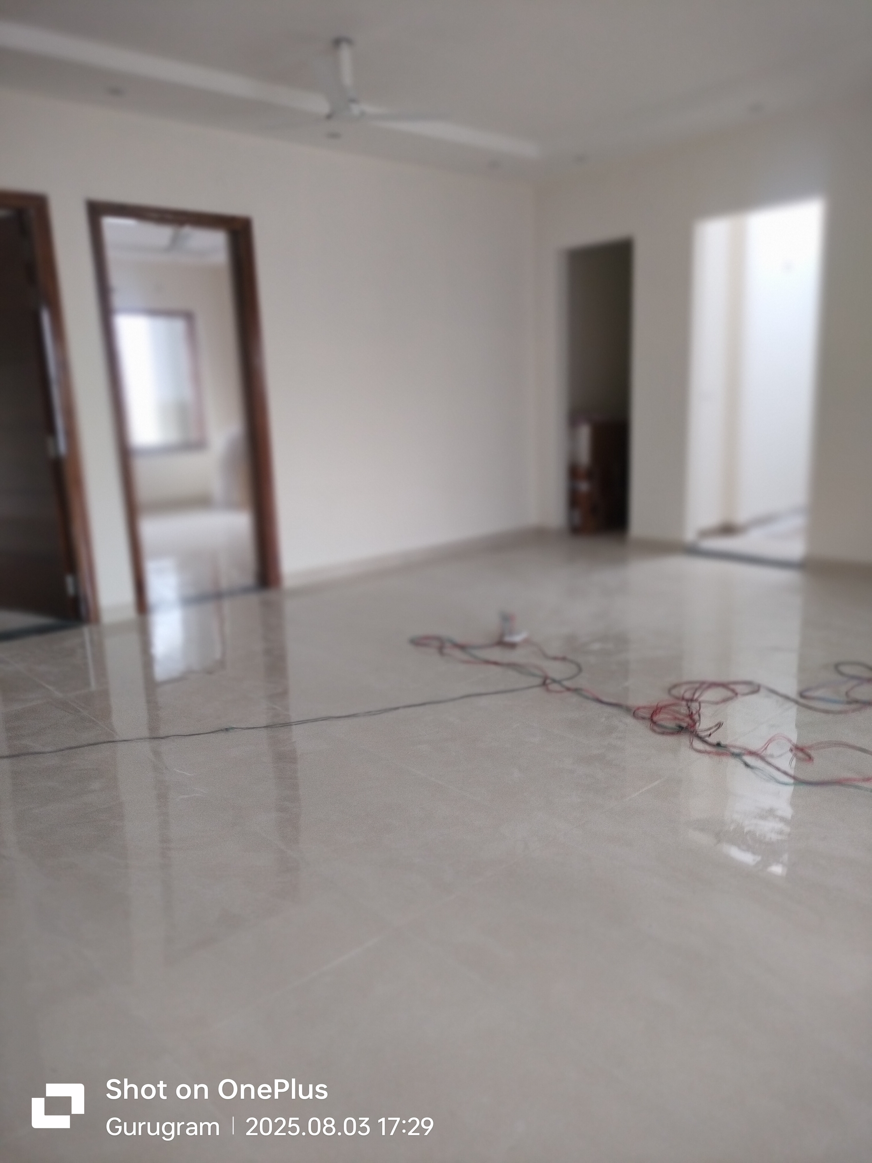 3 BHK + Pooja Room Builder Floor For Rent in Sector 14 Gurgaon Haryana