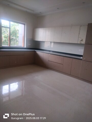 Kitchen in 3 BHK Builder Floor at Sector 14 – for Rent