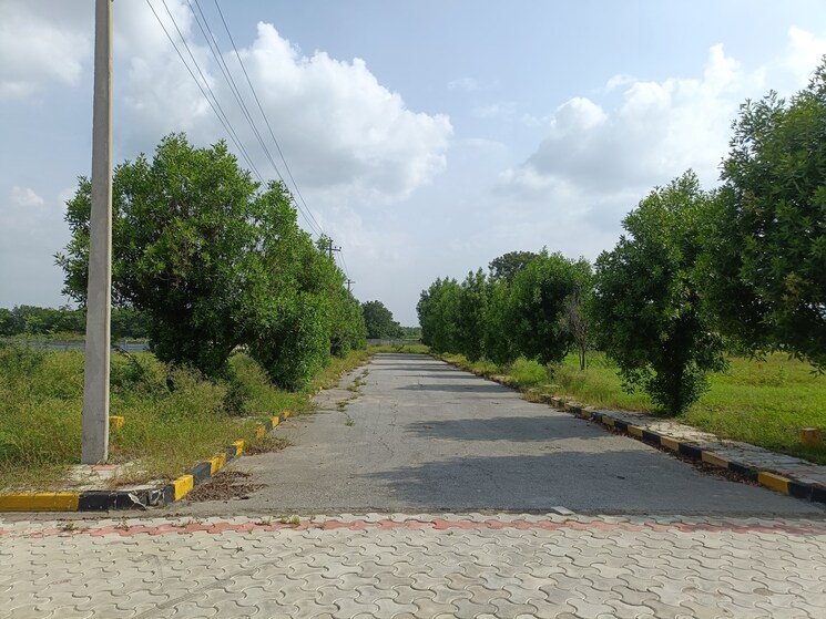 Garden, peram-signature-park  183 Sq.Yd. Plot In Girmapur Hyderabad 9028353