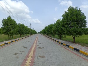  Plot – Exterior View View at Peram Signature Park, Girmapur - for Sale