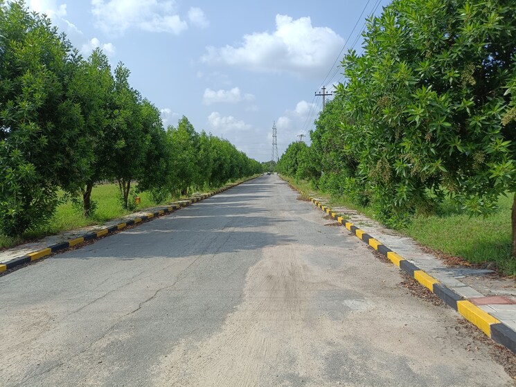 Garden, peram-signature-park  183 Sq.Yd. Plot In Girmapur Hyderabad 9028353