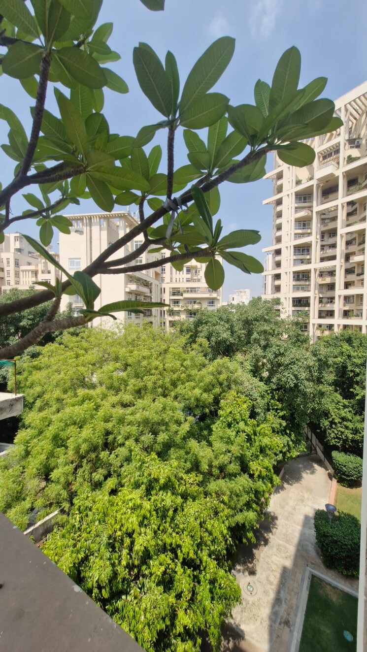 Exterior View, silverglades-the-ivy 5 Bedroom 3950 Sq.Ft. Apartment In Sector 28 Gurgaon 9028365