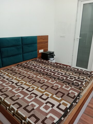 1.5 BHK Builder Floor For Rent in Sector 13