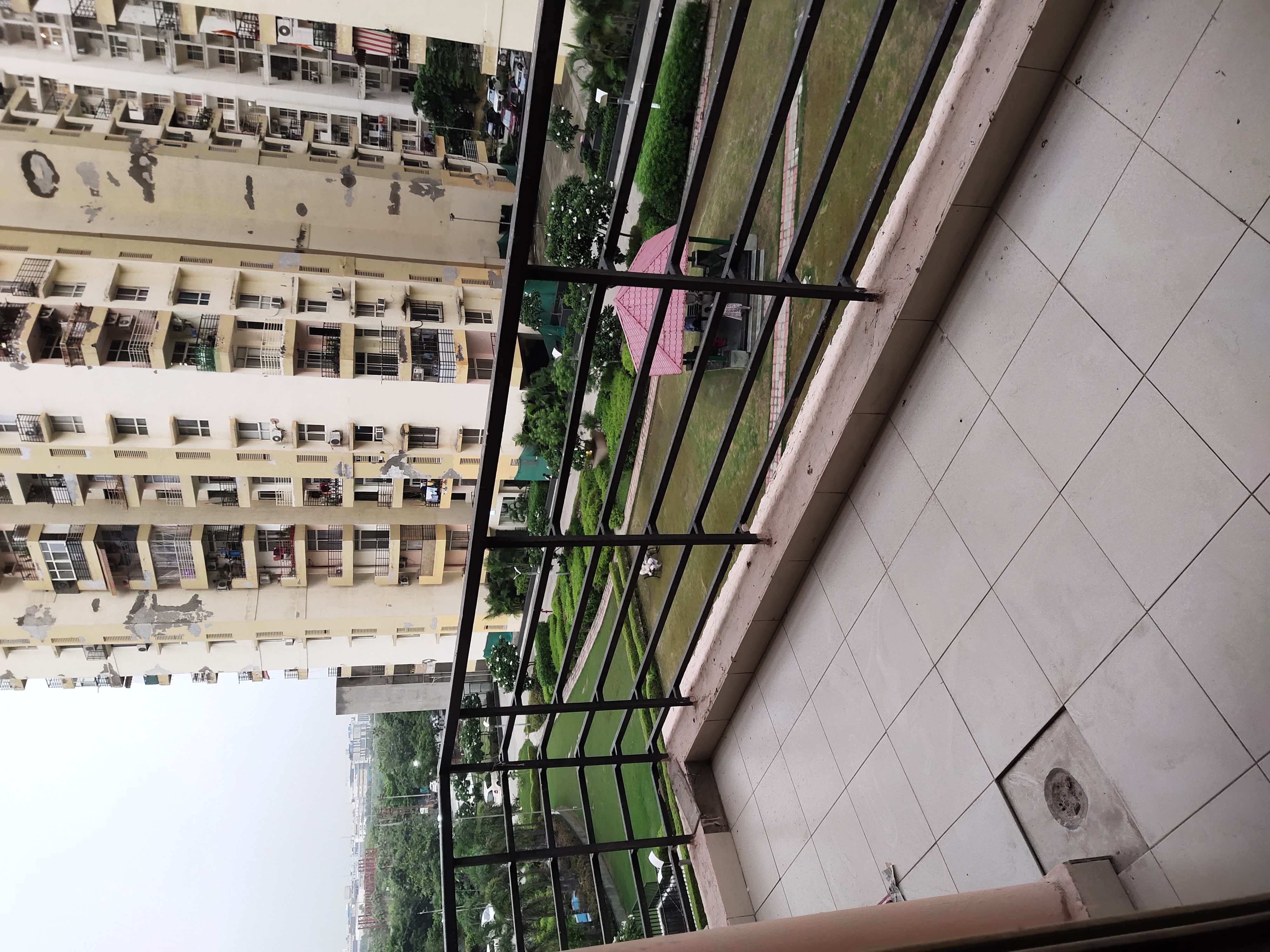 3 BHK 1390 Sq.Ft. Apartment in Assotech Windsor Court