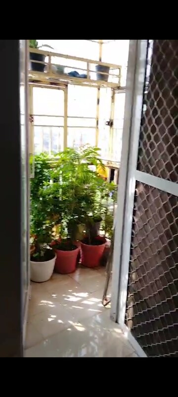 Balcony in 1 BHK Apartment at Wave Dream Homes, Wave City – for Rent