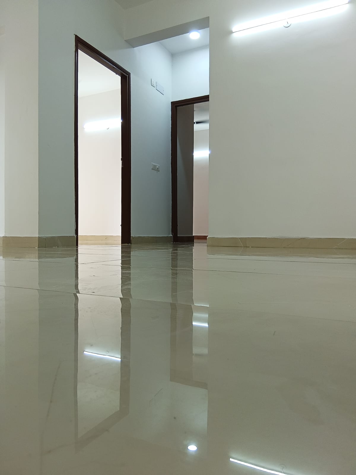 2 BHK Apartment For Sale in Ace Divino