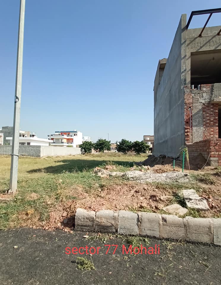 Plot For Sale in Sector 77