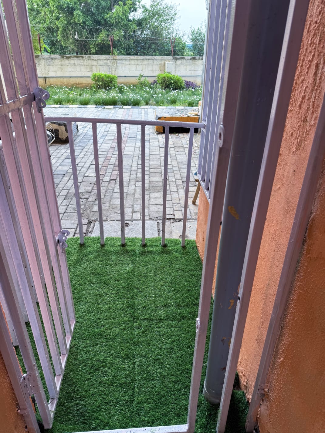 1 BHK Apartment For Rent in Wave Dream Homes