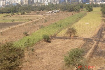 Plot Area in 2 BHK Apartment at Concord Portia, Balewadi – for Rent