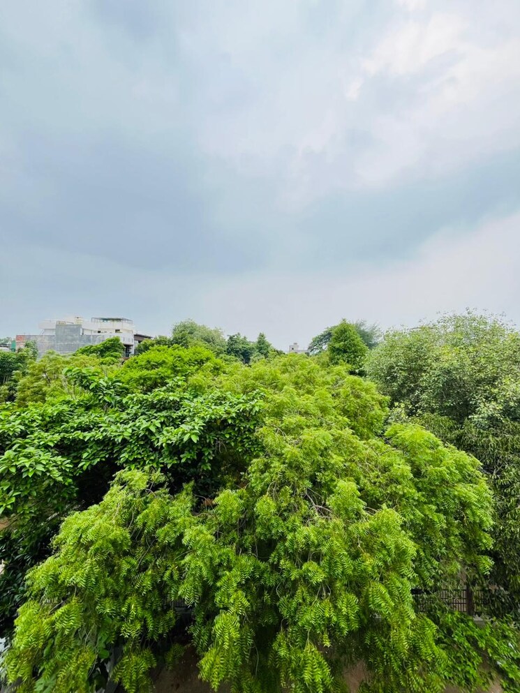 Garden, sushant lok i 1 RK 250 Sq.Ft. Builder Floor In Sushant Lok I Gurgaon 9029865