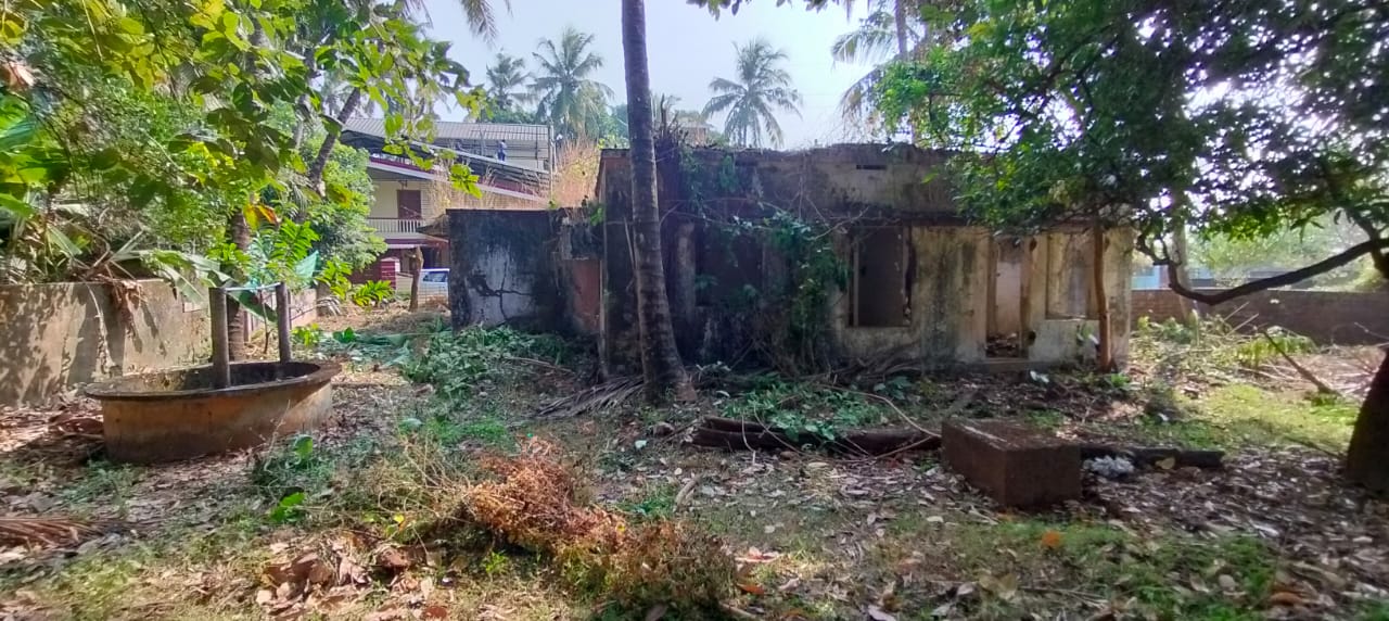 Plot For Sale in Patturaickal