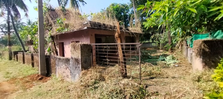 Exterior View, patturaickal  4792 Sq.Ft. Plot In Patturaickal Thrissur 9030016