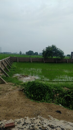  Plot For Sale in Beldarichak