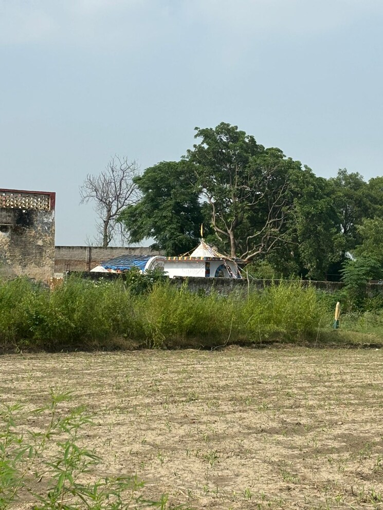 undefined, dadasiya  450 Sq.Ft. Plot In Dadasiya Faridabad 9030226