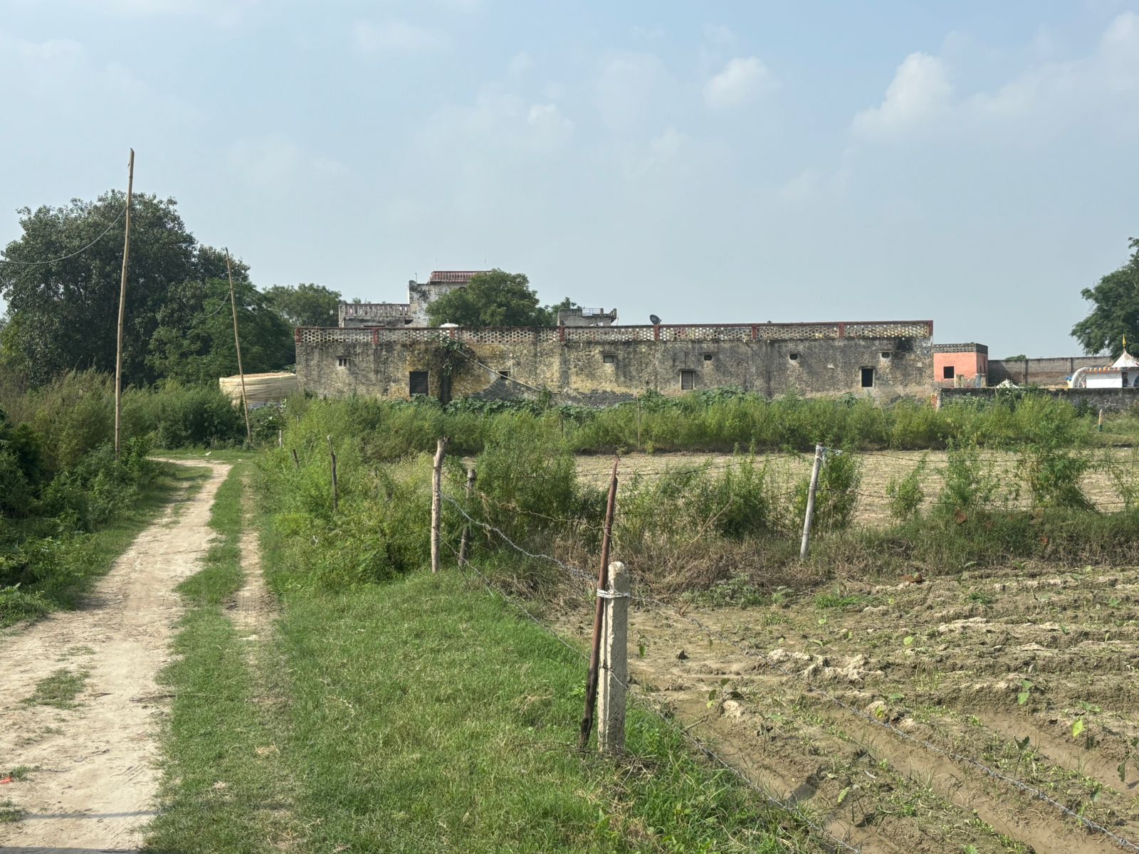 Plot For Sale in Dadasiya