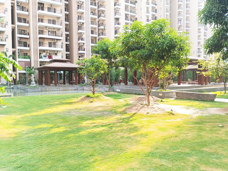 Garden, ace-divino 2 Bedroom 1050 Sq.Ft. Apartment In Sector 1 Greater Noida Greater Noida 9030319