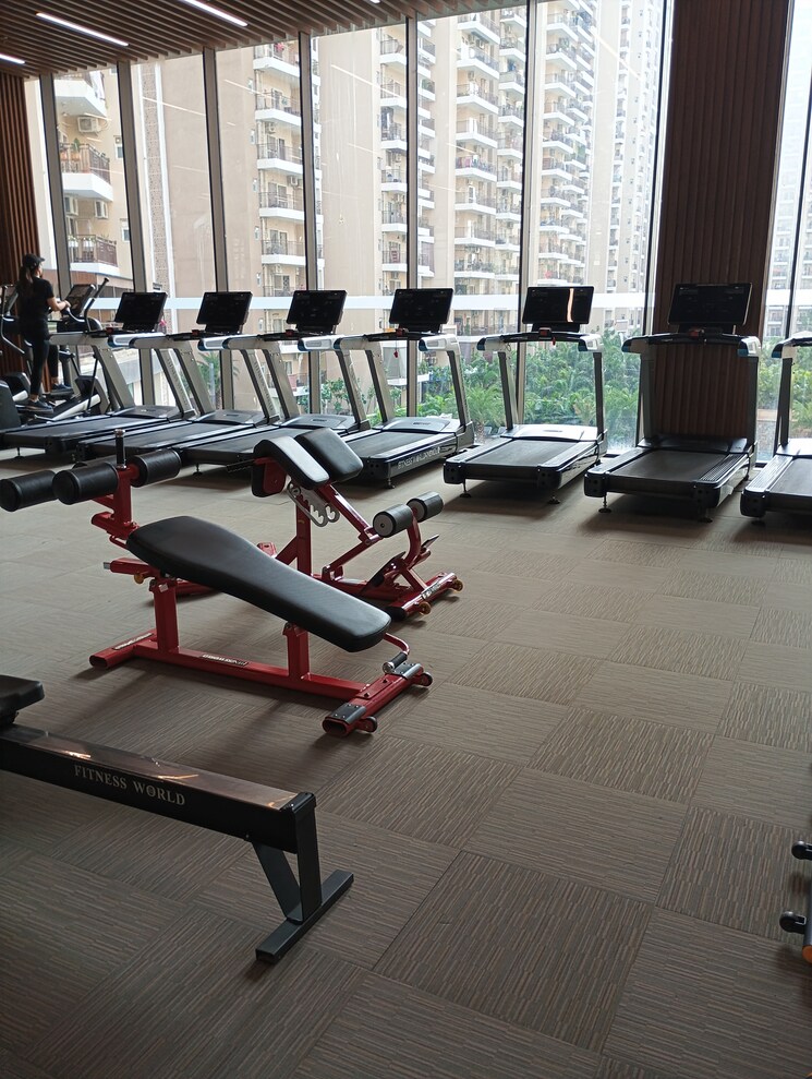 Gym, ace-divino 2 Bedroom 1050 Sq.Ft. Apartment In Sector 1 Greater Noida Greater Noida 9030319