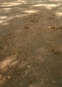 Plot For Sale in Ram Nagar