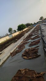 150 Sq.Yd. Plot in Silpa Sindhu Serenity